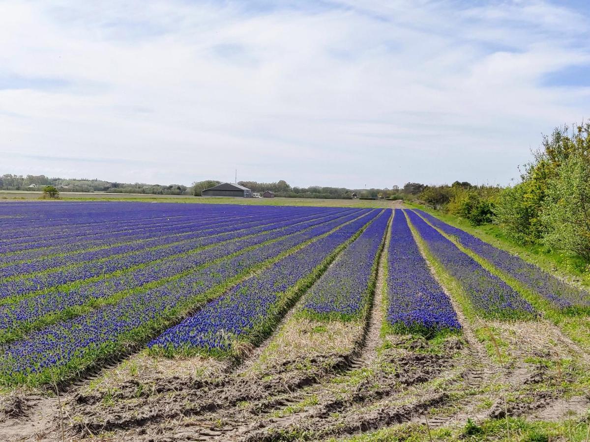 Vakantiebungalow Texel 더콕스도르프 외부 사진