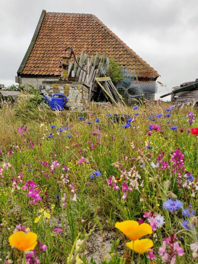 Vakantiebungalow Texel 더콕스도르프 외부 사진